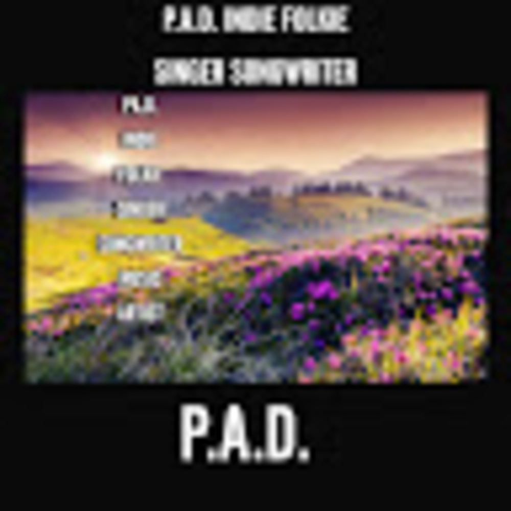 Meet your Posher, Pad indie folkie